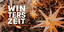 Winterszeit Logo