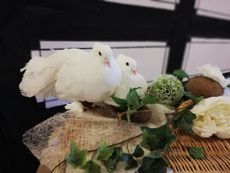 Hochzeitsmesse im Wasserschloß Klaffenbach Bild 1