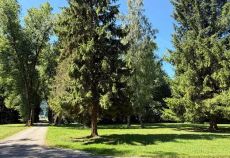 GartenLust Das Sägewerk am Mondsee Bild 2
