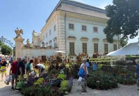 GartenLust Schloss Halbturn Bild