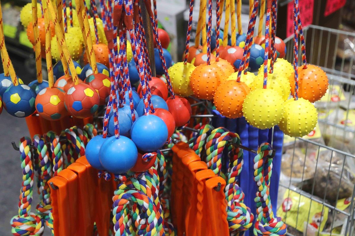 Galerie, Rassehundeausstellung Erfurt