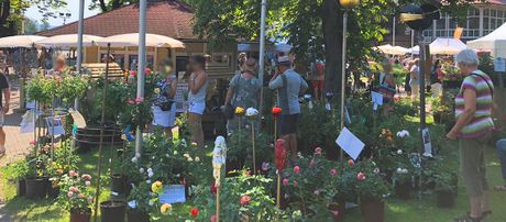 Galerie, DiGA Iffezheim