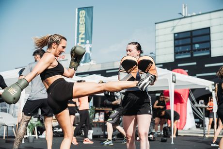 Galerie, MUV-Festival