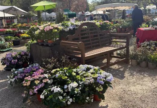 GartenLust Schloss Halbturn Bild