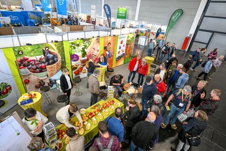 Galerie, Fruchtwelt Bodensee