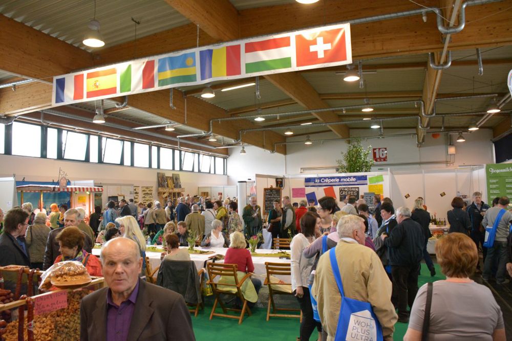 Galerie, 50 PLUS Ried