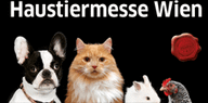 Haustiermesse Wien Logo