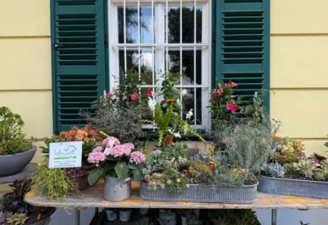 GartenLust Mondsee Bild