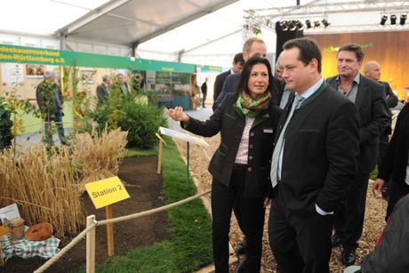 Galerie, Oberschwabenschau