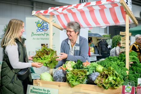 Galerie, infa regional