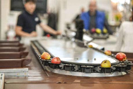 Galerie, Fruchtwelt Bodensee