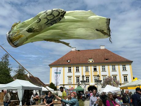 GartenLust Schloss Wundschuh Bild