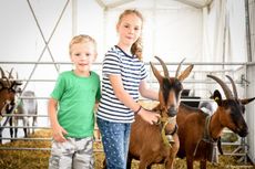 Herbstmesse Dornbirn Bild 2