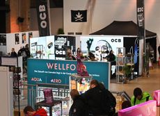 CANNAFRIENDS Bild 3