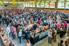 Große Sammlerbörse zum Internationalen PuppenFestival Neustadt und Sonneberg Bild 1