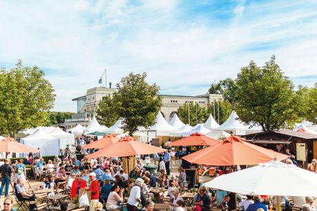 Krefelder Gartenwelt Bild