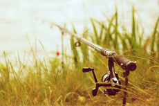TIER & NATUR Bild 3