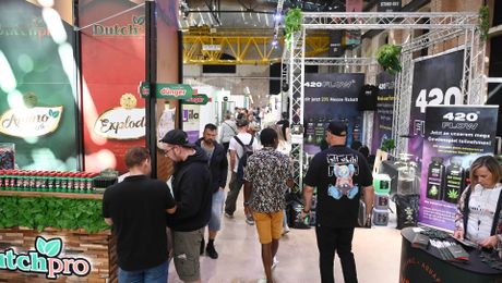 CANNAFRIENDS Bild