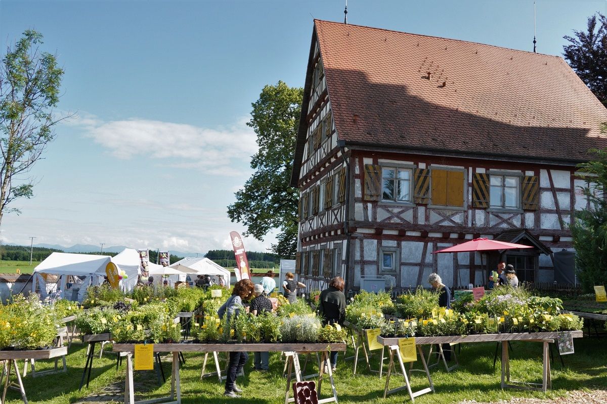 Galerie, gusto!-Sommerfestival