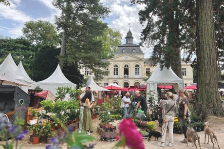 Düsseldorfer Herbstfestival Schloss Eller Bild