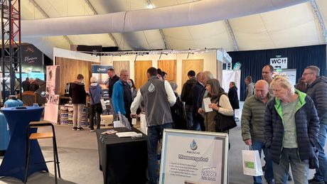 Galerie, Baumesse Halle (Westfalen)