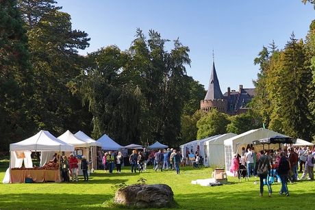 Schlossfrühling Schloss Paffendorf Bild