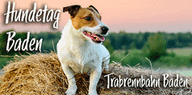 Badener Hundetag Logo