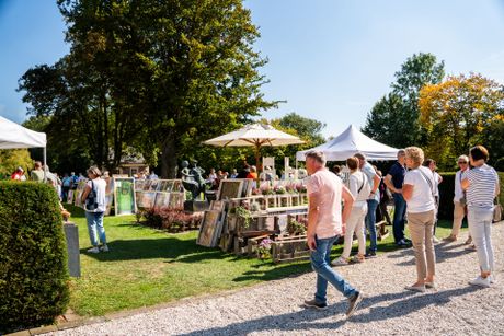 Ahauser Schlosszauber Bild