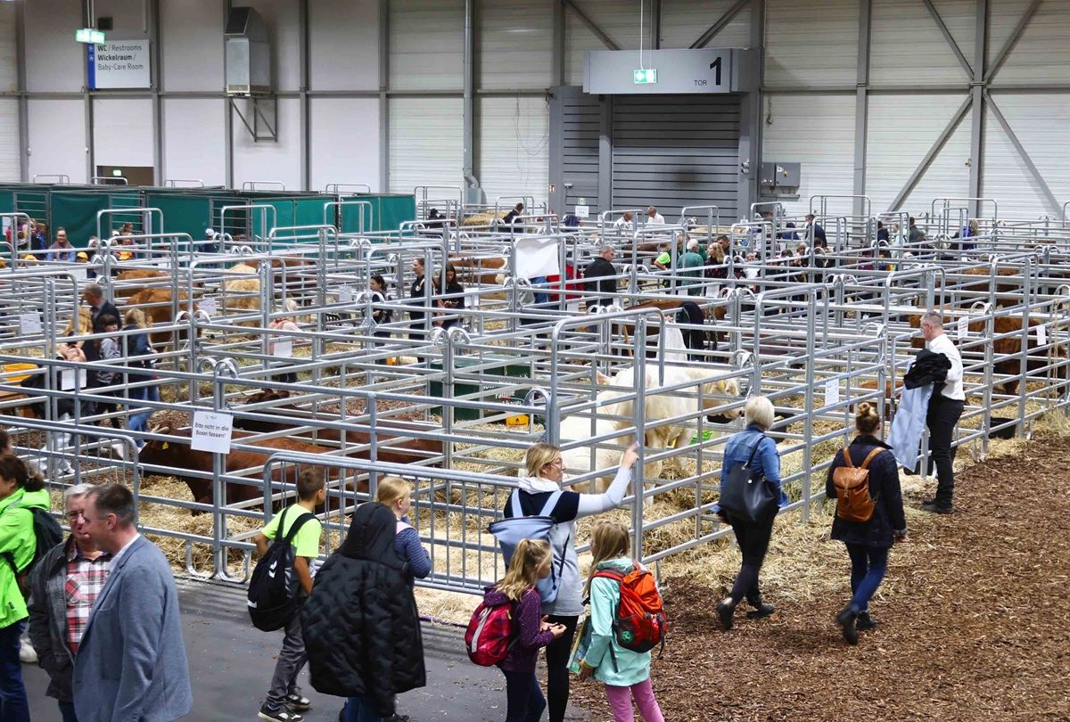 Galerie, Grüne Tage Thüringen