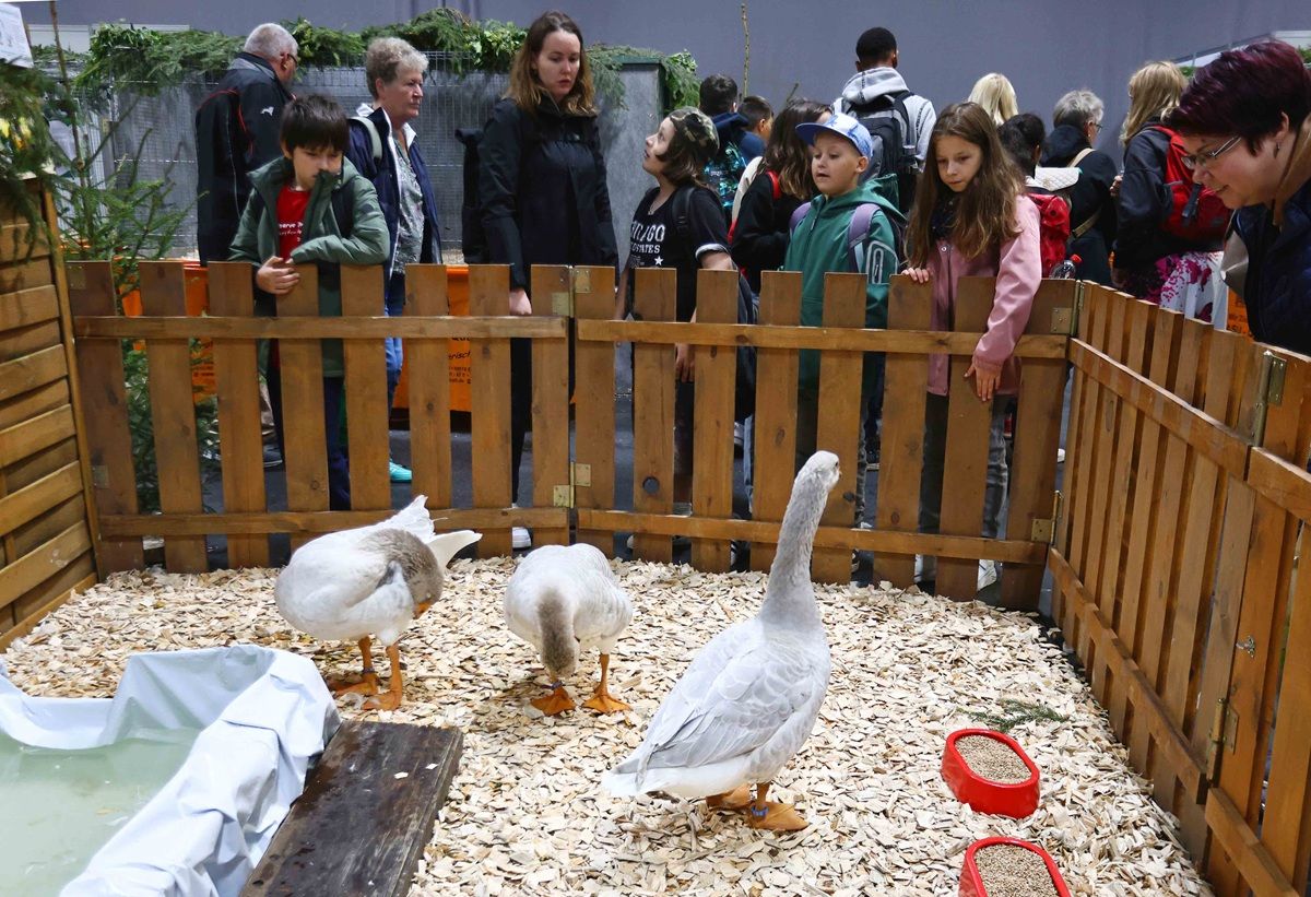 Galerie, Grüne Tage Thüringen